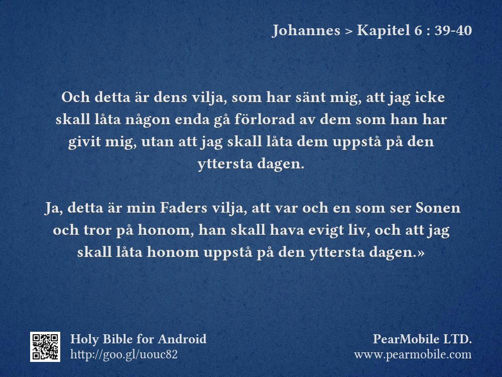 Johannes, Kapitel 6:39-40
